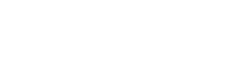 Electolife
