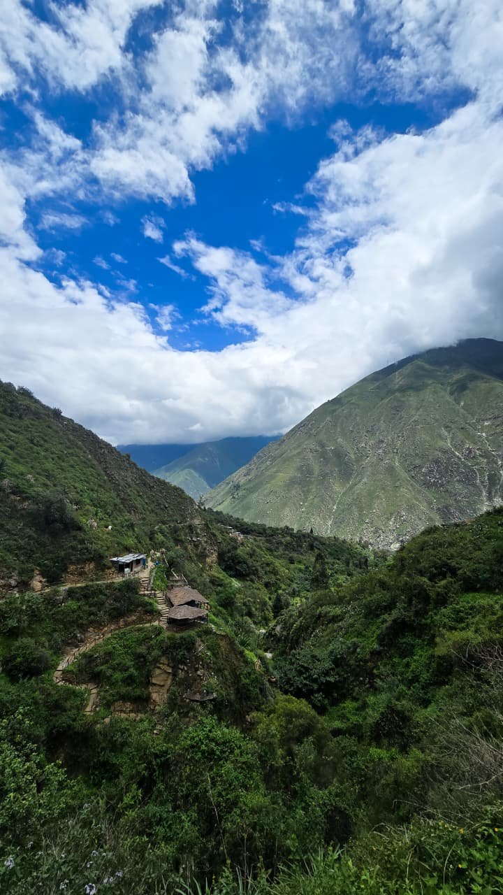 Palacala - Huanano